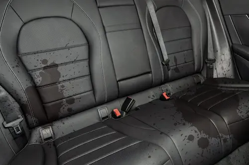 Pachet scaune și banchetă